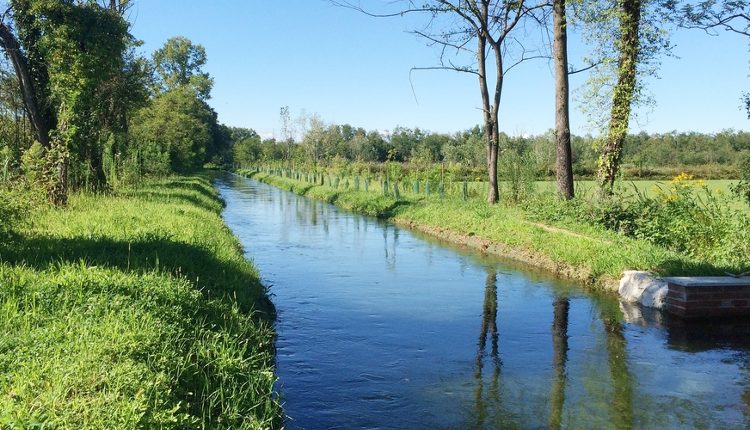 educazione ambientale convenzione tra regione lombardia e parco nord