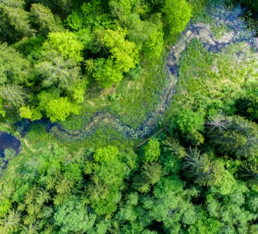 Ispra: Italia all'avanguardia nella difesa dell’ambiente! Sarà vero?