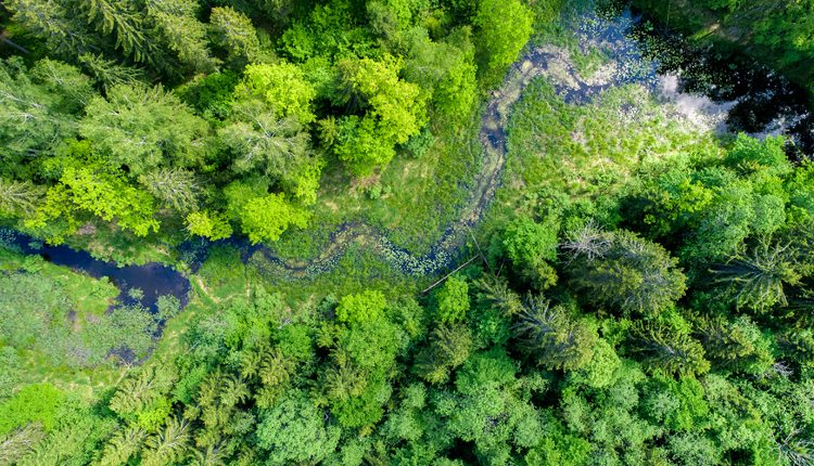 Ispra: Italia all'avanguardia nella difesa dell’ambiente! Sarà vero?