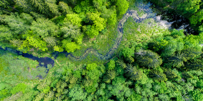 Ispra: Italia all'avanguardia nella difesa dell’ambiente! Sarà vero?