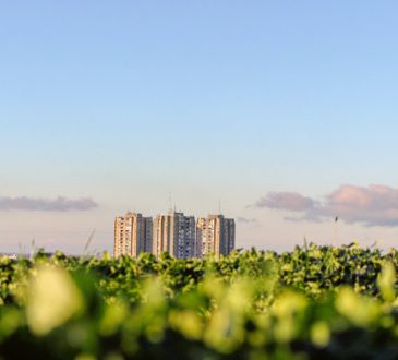 Iniziata lunedi 24 settembre la settimana mondiale dei green building