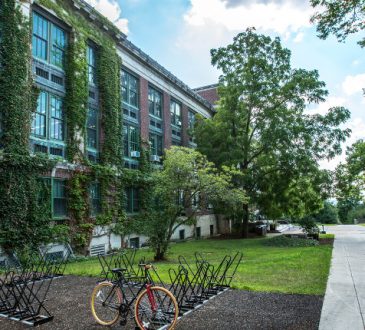 - Scuole verdi - giardini, orti e spazi verdi per le scuole del futuro