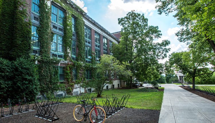 - Scuole verdi - giardini, orti e spazi verdi per le scuole del futuro