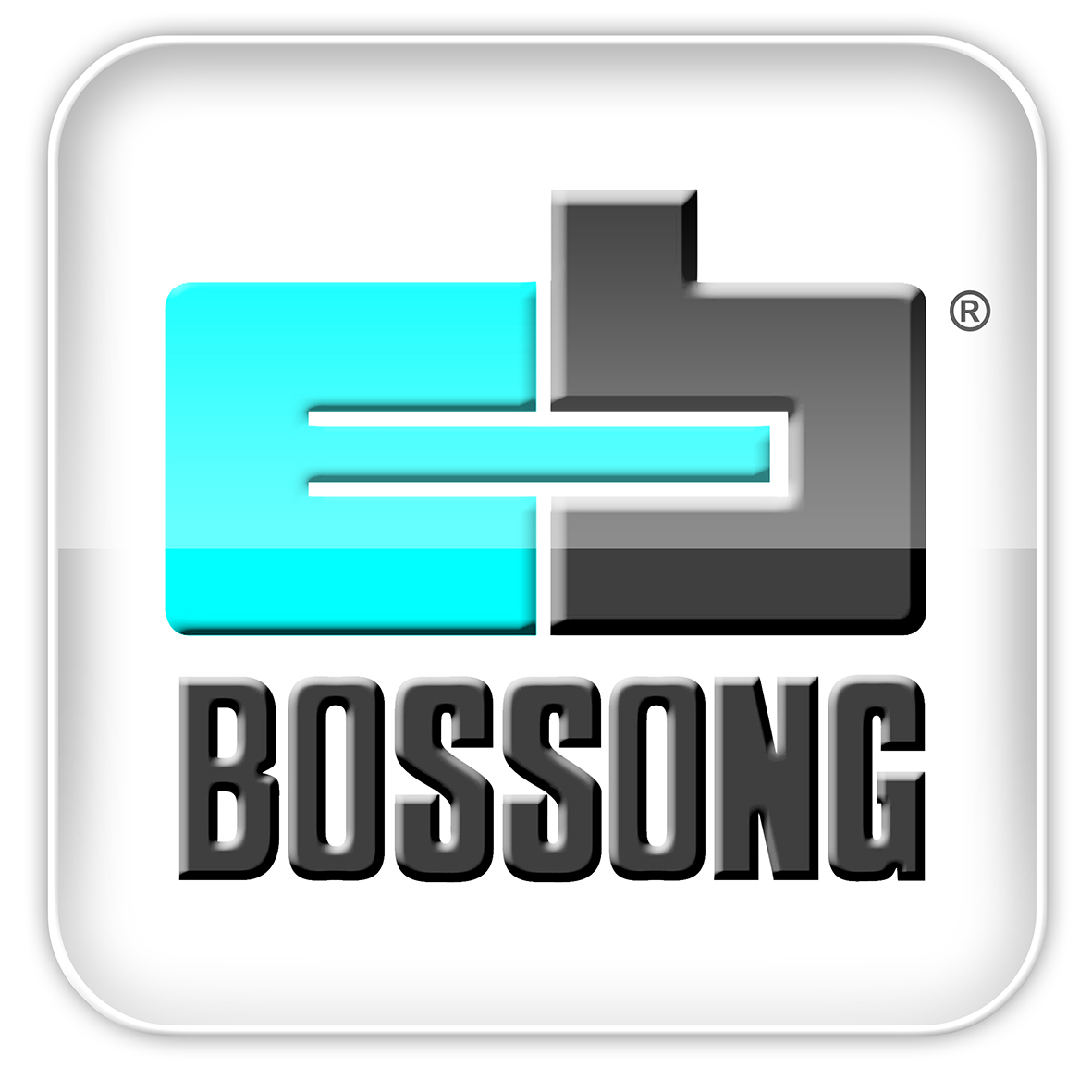 BOSSONG S.p.A.