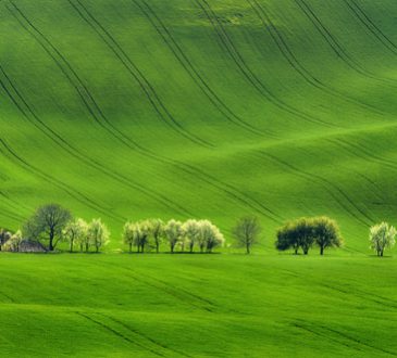 Rapporto Green Italy: quanto pesa oggi la Green Economy?