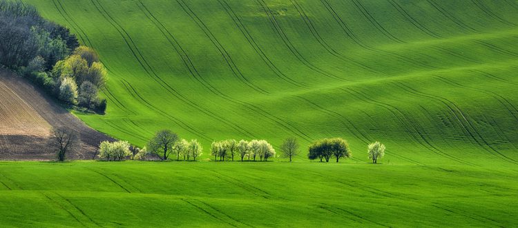Rapporto Green Italy: quanto pesa oggi la Green Economy?