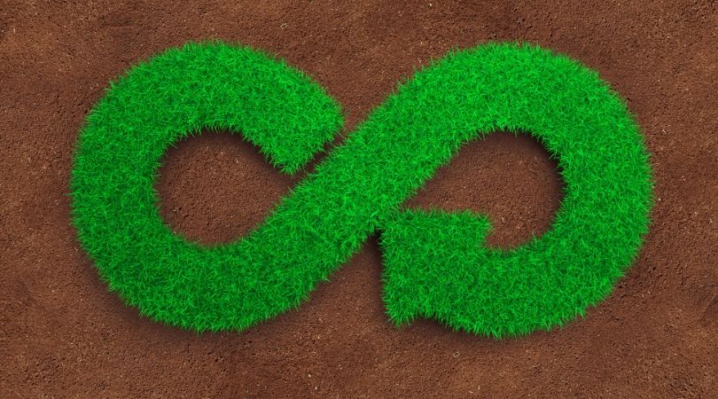 ENEA / Federdistribuzione: packaging ecologico e consumo sostenibile