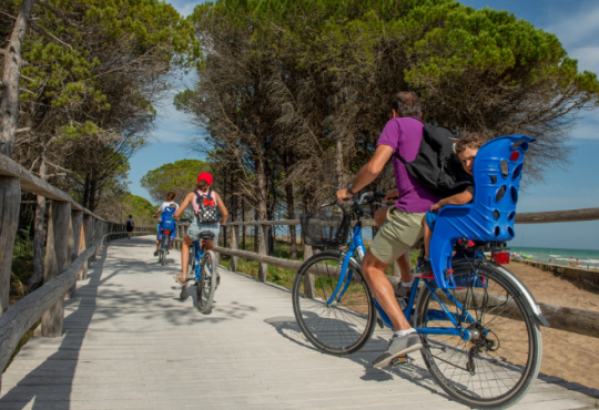 Come progettare una pista ciclabile, guida completa.