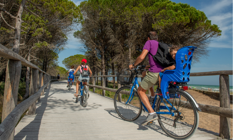 Come progettare una pista ciclabile, guida completa.