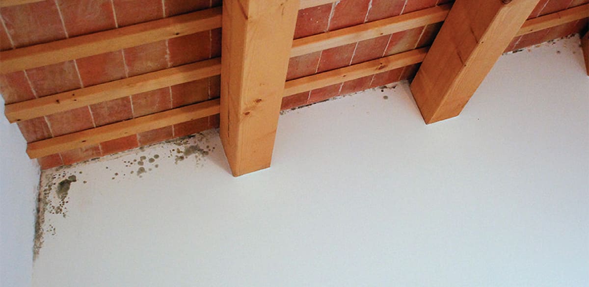 Strategie per nZEB “salutari”