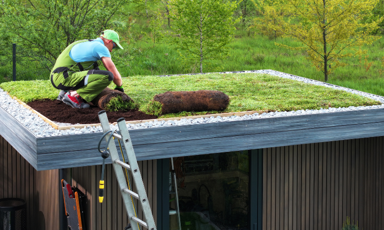 Cinque diverse tipologie di tetti verdi e come stanno cambiando il modo di progettare le città